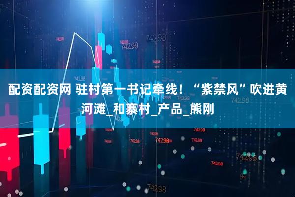 配资配资网 驻村第一书记牵线！“紫禁风”吹进黄河滩_和寨村_产品_熊刚
